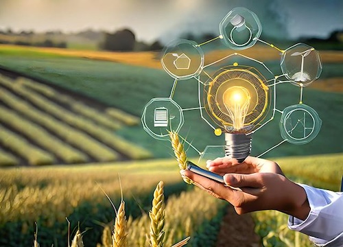 How Agnomy Is Transforming How Agricultural Services Are Discovered, Managed, and Delivered