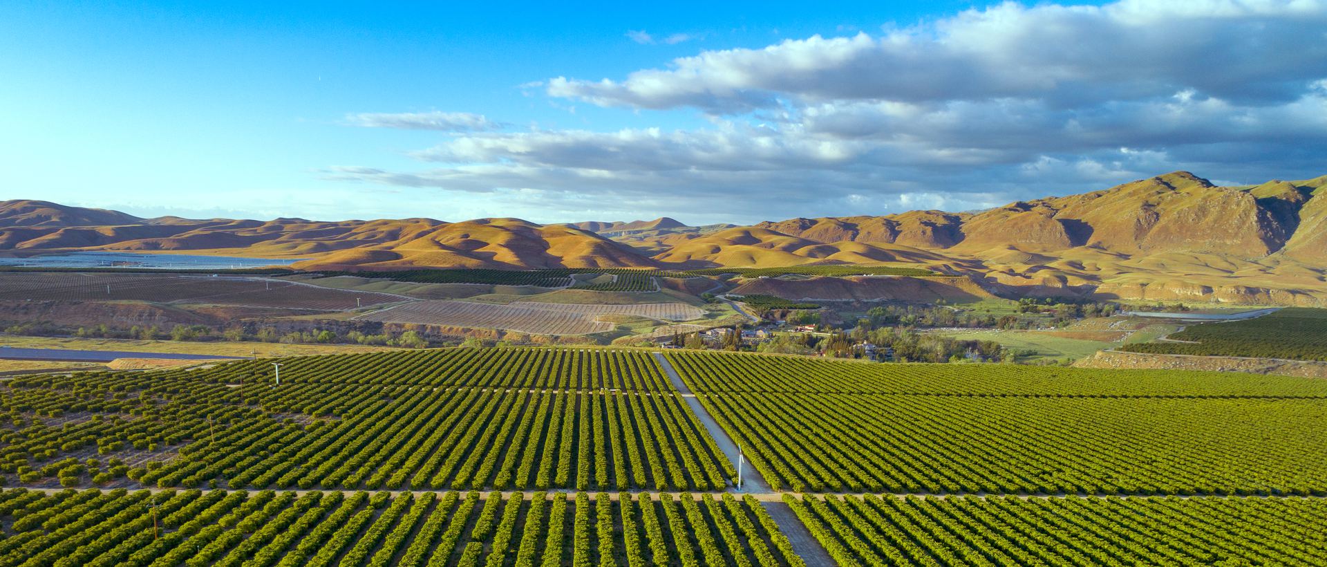 agricultural services Kern County