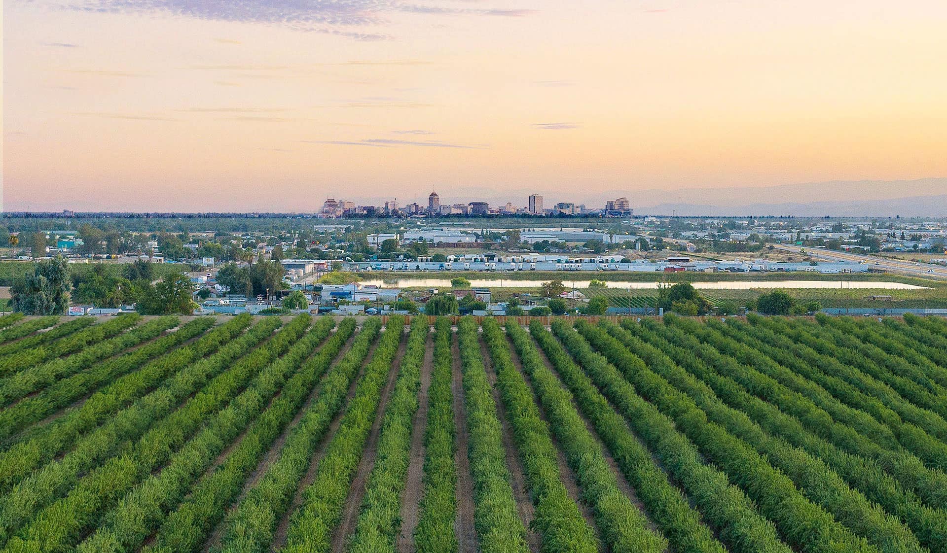 custom harvesting Fresno