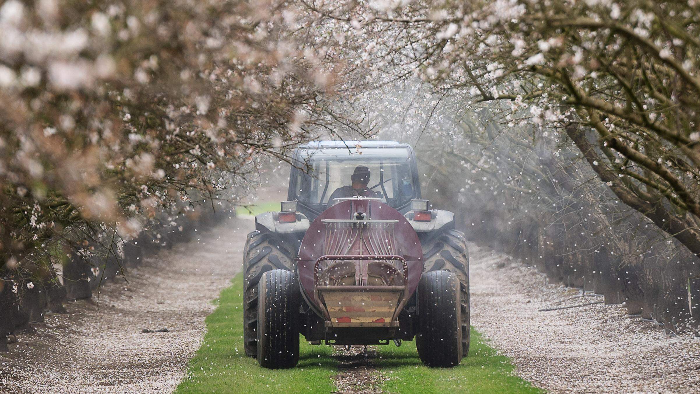 Stanislaus County ag contractors