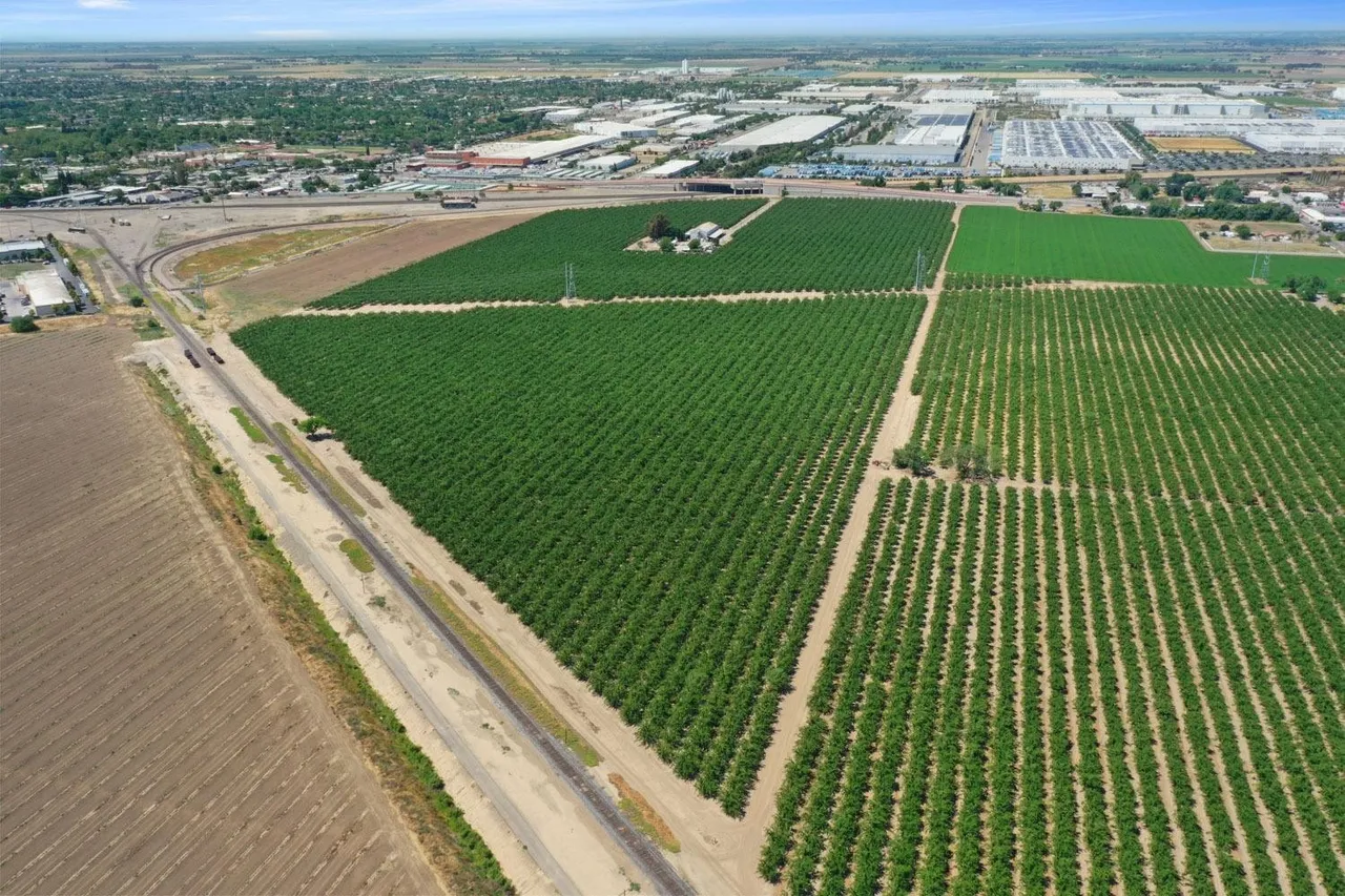 Delta Valley ag services