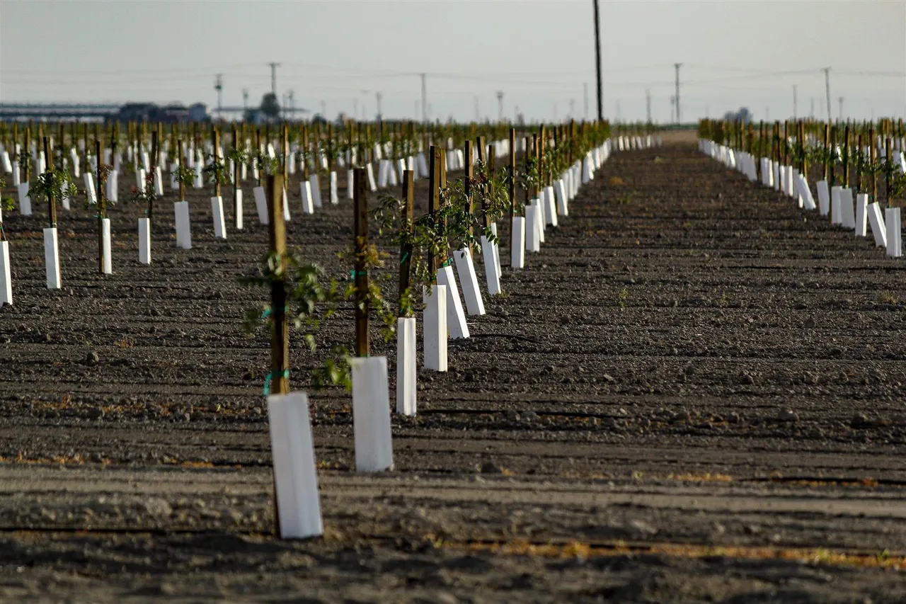 nursery-and-plant-production-in-{hub}